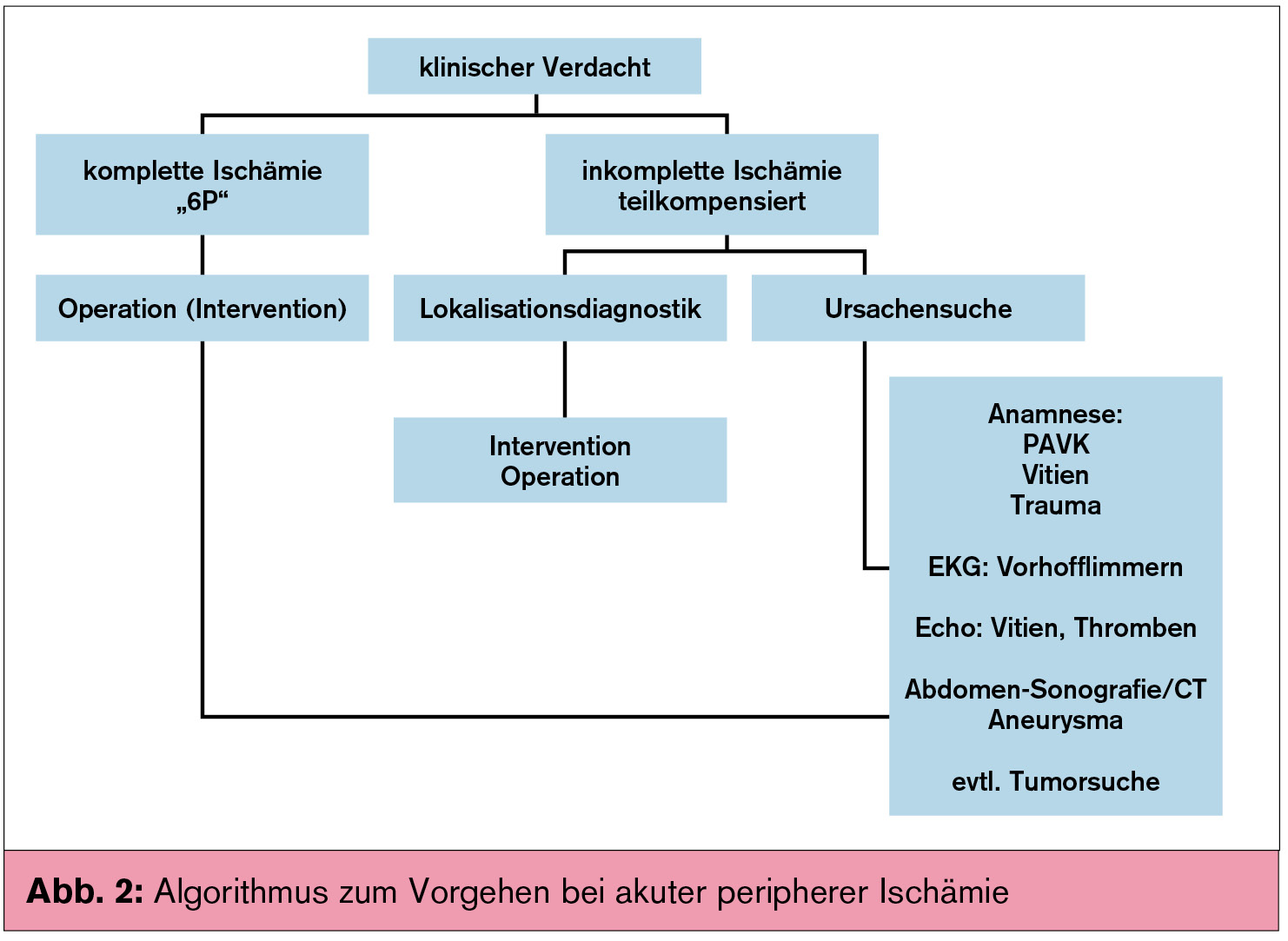 Akute Und Chronische PAVK Der Unteren Extremitäten | UNIVERSUM INNERE ...